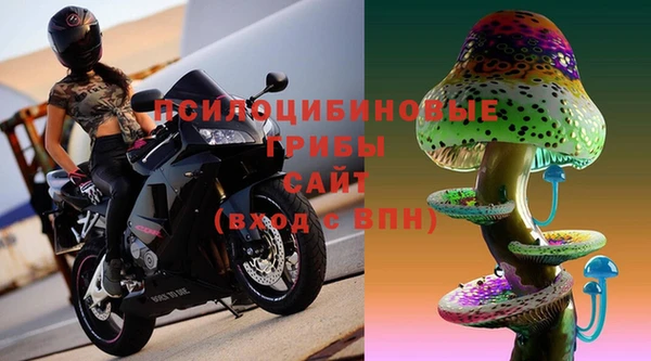ГАЛЛЮЦИНОГЕННЫЕ ГРИБЫ Белоозёрский