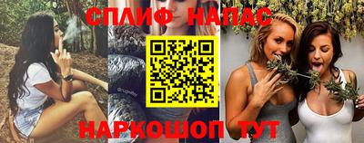 гашик Донецк