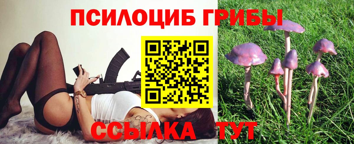 Галлюциногенные грибы прущие грибы Печора