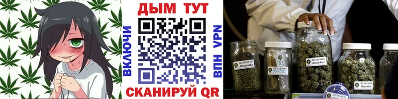 Шишки марихуана план  Печора 